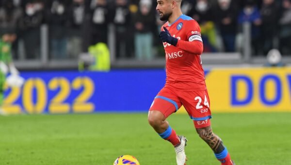 Insigne
