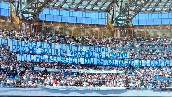 Insigne