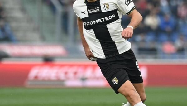 Mateo Pellegrino